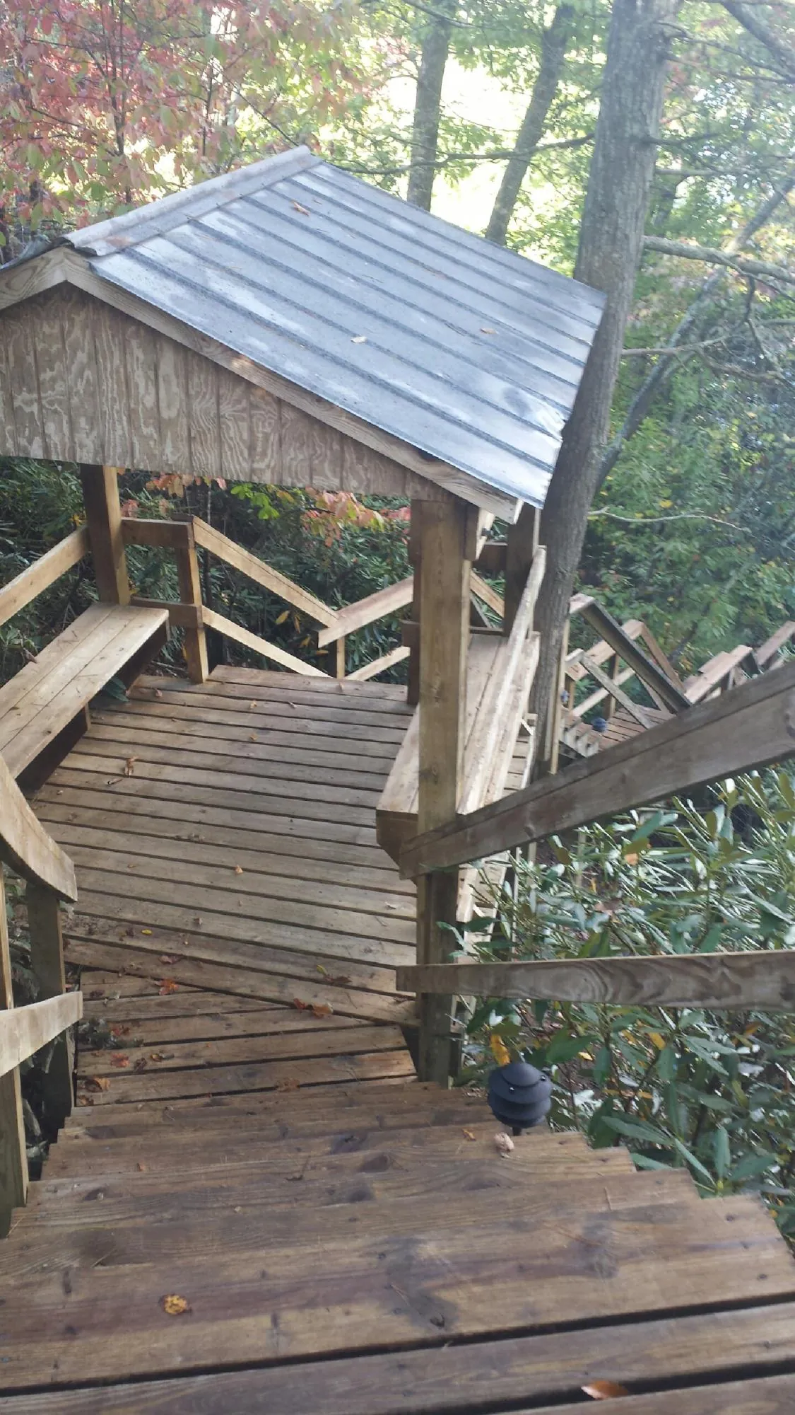 Metal roofed shelter over wooden steps on a wooded walkway in Brookhaven